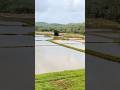 Aqueduct bridge beauty #travelvlog #shorts #shortvideo #thrissur