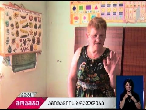 შუახევის საჯარო სკოლაში მომხდარ ფაქტზე განათლების სამინისტრომ მოკვლევა დაიწყო