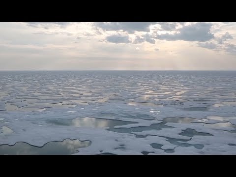 Wideo: Lód Antarktydy Topi Się Szybciej Niż Ktokolwiek Inny - Alternatywny Widok