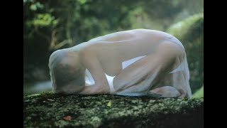 【酒井若菜】美しすぎる