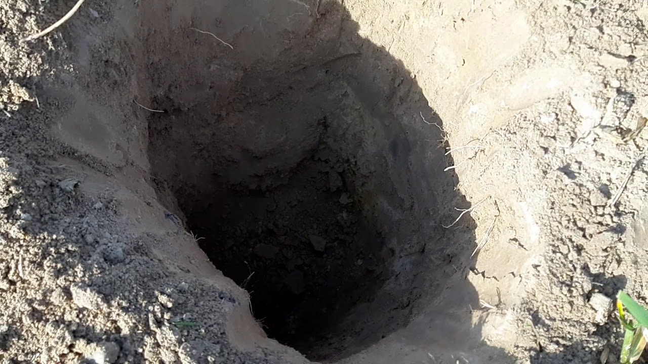 Alter 71 i Fortuna Pro2- sprzet na depozyty?