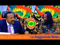 QophiBilisumma Oromo Ajajoota Wobo ABO I 28 February 2026