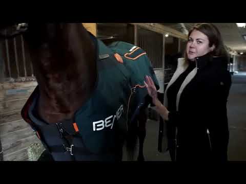 Butewicz interviews Platinum Equine, Bemer Distributor