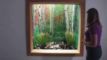 What are Window Well Scenes?