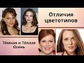 Как отличить цветотип тёплая осень от цветотипа тёмная осень