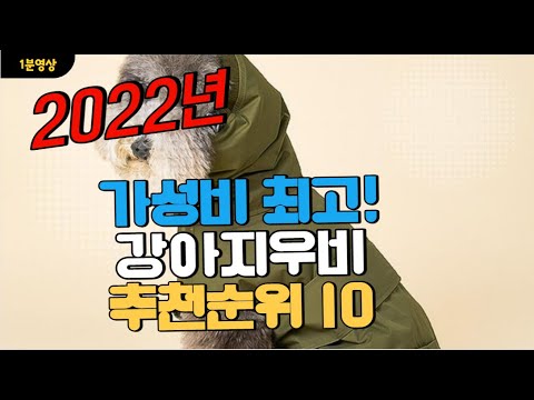 광고 2022년 가장인기있는 강아지우비 추천 판매순위 TOP10 가성비 평점 후기 비교