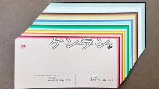 ケンラン 紙販売 通販 スマホも見やすい 紙名手配
