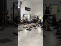 Wedge Inside CC Heel RFE Squat