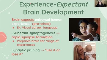 Experience-Expectant & Experience-Dependent Brain Development