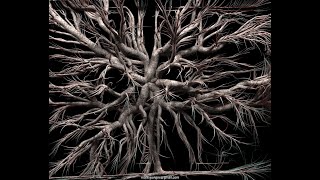 ThinkingParticles/3dsMAX - trailborn/Spline ….