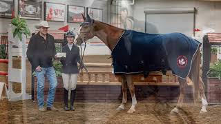 2024 Foal Promotional Video: Ravine Ranch Sport Horses