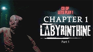 Labyrinthine Gameplay | Co op | Horror Game Lets Play Episode 1