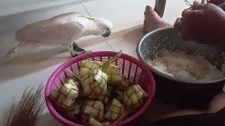 Cara Membuat Ketupat Ketan - How to Make Sticky Rice Ketupat