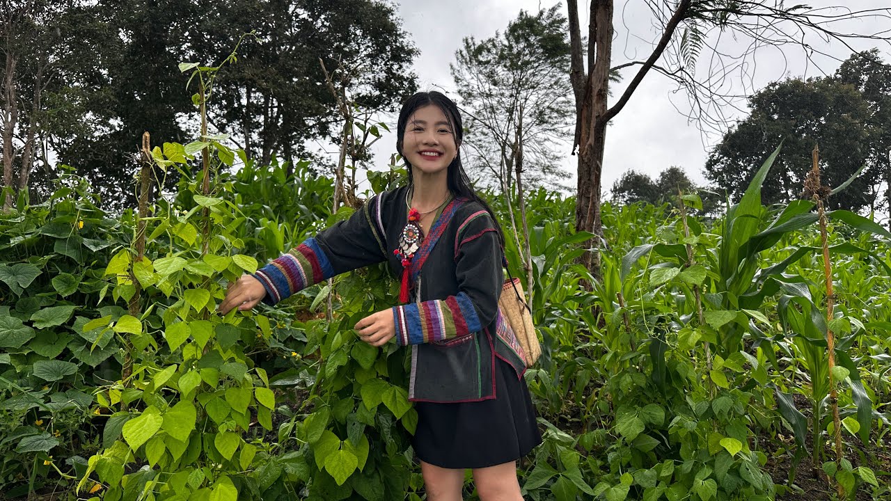 “ชีวิตเรียบง่ายในชนบท สูดอากาศบริสุทธิ์ ใช้ชีวิตช้าๆ กับธรรมชาติ 🌾🏞️”