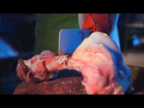 Тесты кухонных ножей Bamboo Тесты кухонных ножей Bamboo