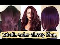 Tendencia cabello color Glossy Plum