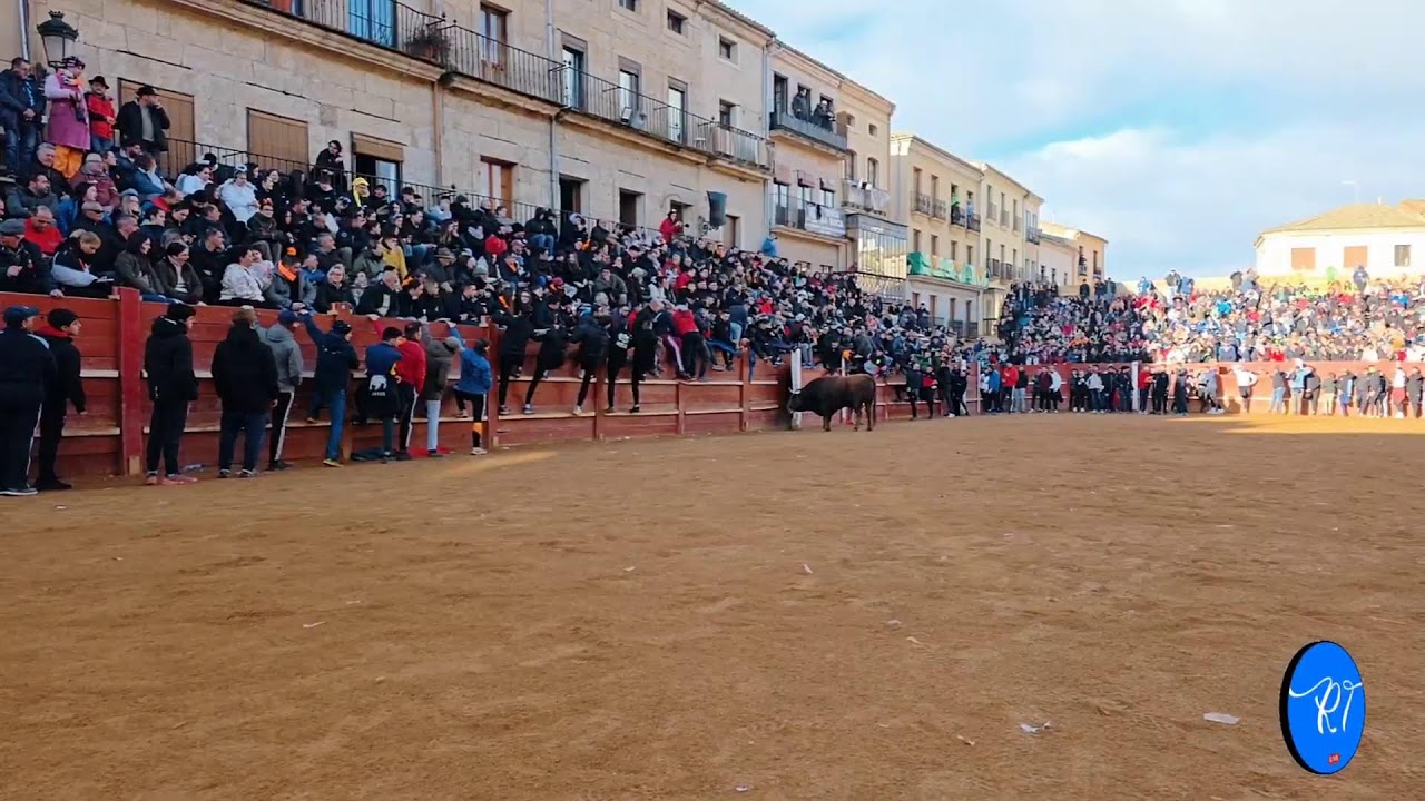 toro del Arguardiente Ciudad Rodrigo 2026