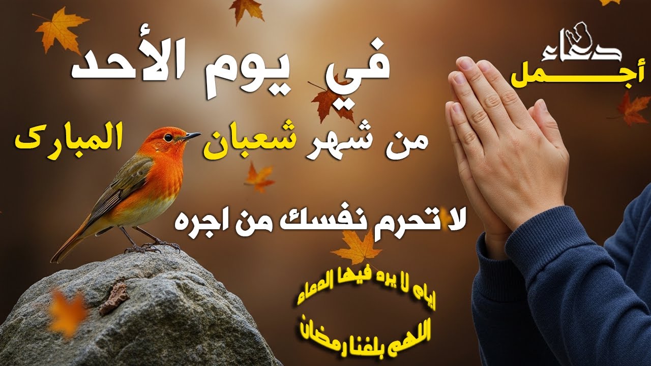 دعاء فى يوم الأحد المستجاب دعاء يوم 20 من شهر شعبان للرزق والشفاء العاجل وقضاء الحوائج 🤲(4k)