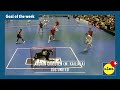 Lidl Goal of the Week-Voting KW 38