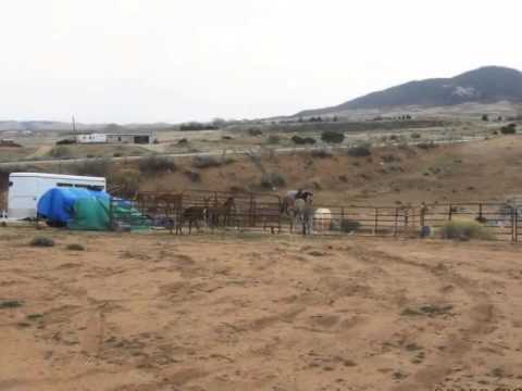 19042 Cherry Ln, Tehachapi, CA home video tour