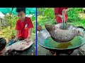Yummy big river fish cooking by chef Seyhak - Cooking with Seyhak