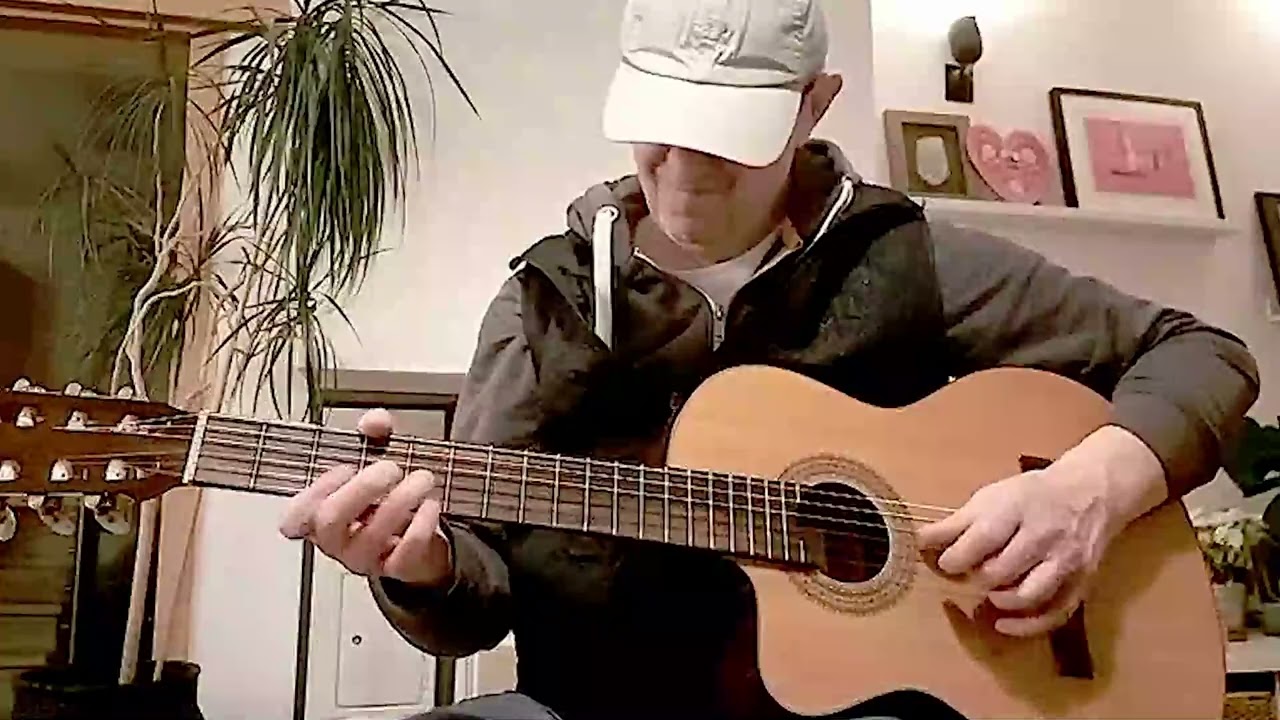 Sweet Home Chicago from Blues Brothers, cover version