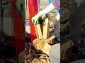 Log Splitter vs Acacia