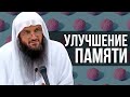 Как улучшить память и увеличить знания? Разъяснение Абдурраззак аль-Бадром книги Ибн аль-Кайима