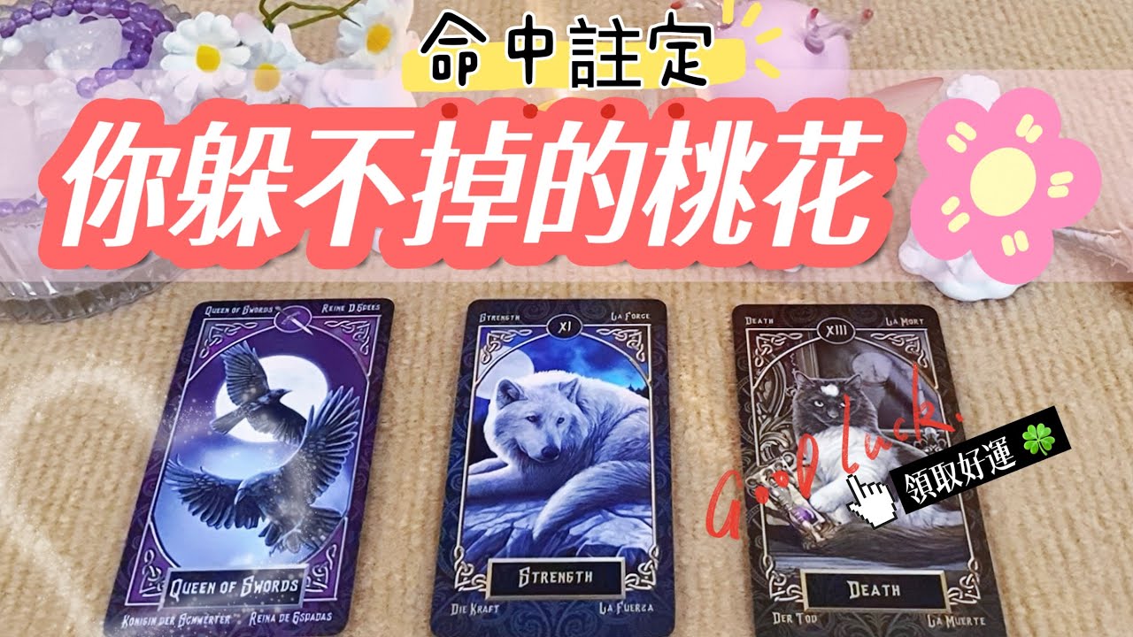 🌸你躲不掉的這朵桃花會是誰呢？你們將經歷怎樣的愛情？💘桃花&脫單訊息🌟為何你逃不了呢？天使給你什麼指引？｜不限男女+不限時間✨#占卜#愛情#塔羅牌#運勢#感情#塔羅占卜#諮詢#tarotreading