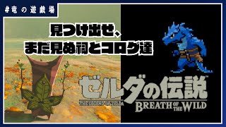 #2【ゼルダの伝説・breath of wild】見つけ出せ、まだ見ぬ祠とコログ達【竜の遊技場】