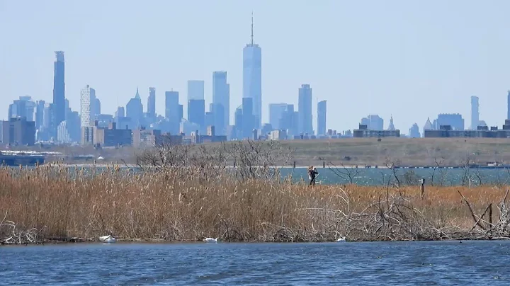 NYC's Rising Waters | Sustainability Matters - DayDayNews