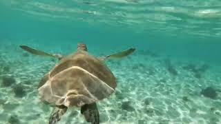 Faraon \u0026 Iriser – My ocean