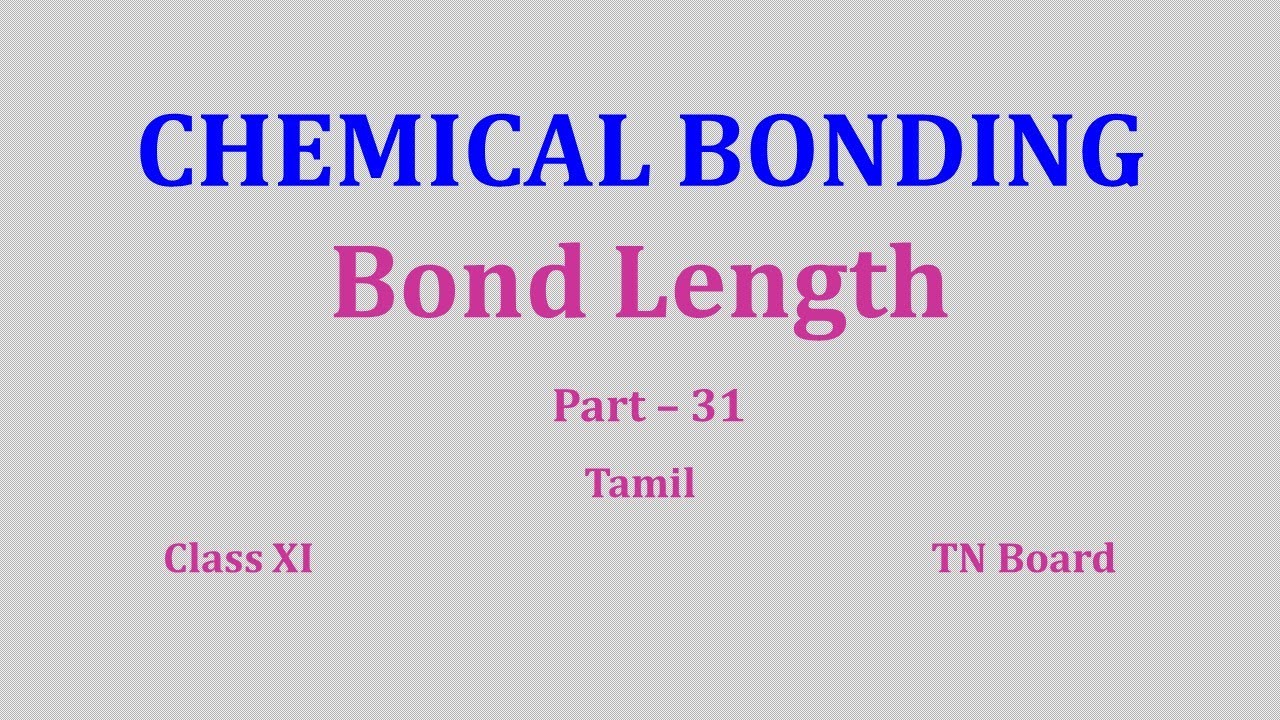 Chemical Bonding Class 11/ Part 31/Bond Length / TN Board 