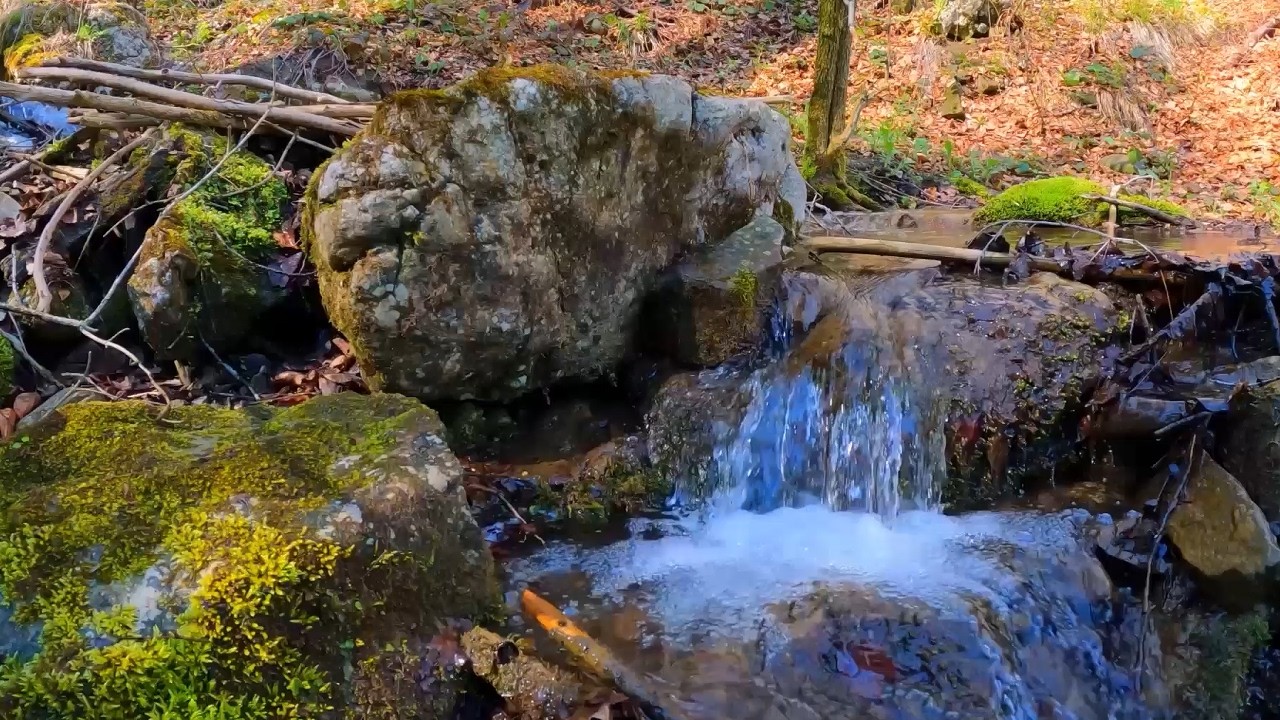 ALAM YANG DAMAI: SUARA AIR JERNIH MENGALIR, TEMAN ISTIRAHAT PENGHILANG PENAT #relaxing #healing