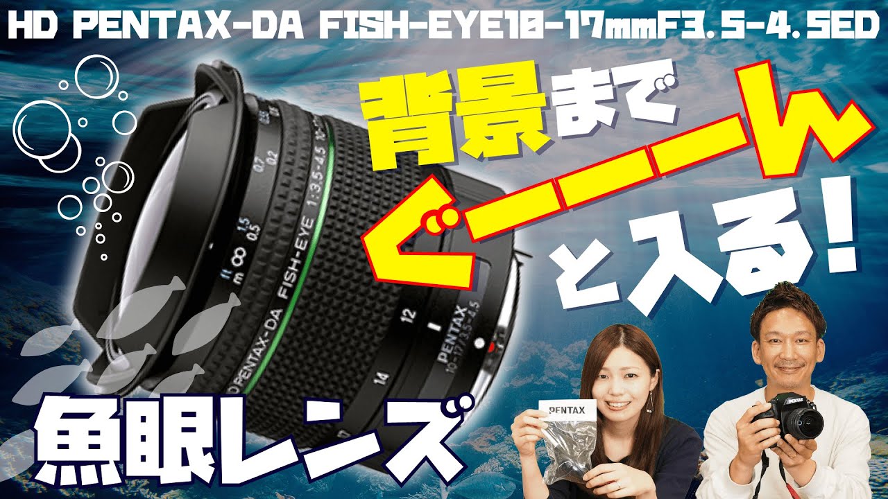 魚眼レンズの個性で写真の魅力もレベルアップ！ペット・星・風景撮影で