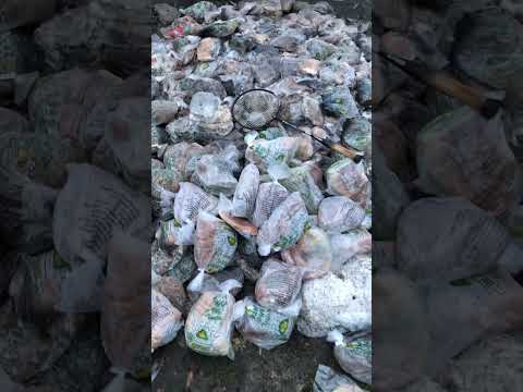У Павлограді на смітник викинули десятки хлібин