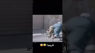 كل عيد وانتم طيبين مشاهد مضحكه عيد الاضحى