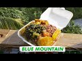 🇯🇲 Rasta Blue Mountains in Jamaica | Vlog