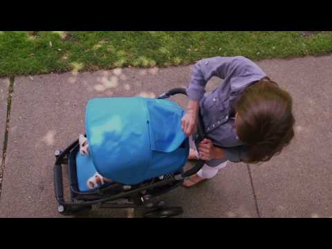 UPPAbaby Vista Stroller