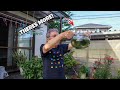 My Uncles FISH TANKS in JAPAN!