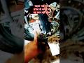 Pulsar 150 service at home | Pulsar 150 starting problem | #shortsfeed #shorts #trending #pulsar