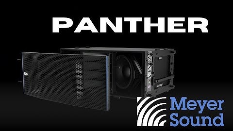 Meyer Sound PANTHER Line Array | PANTHER Line Array Review @DjRayaOfficial
