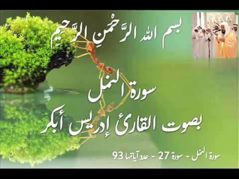 سورة النمل      