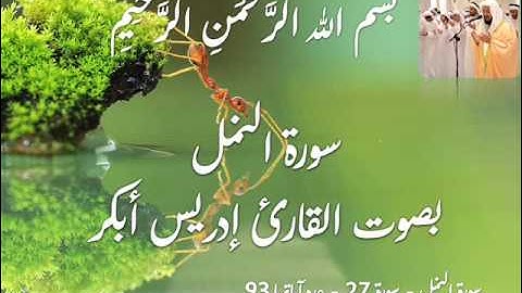 سورة النمل Idris Abkar ~ Surah Al Naml - full