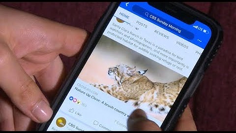 Smartphones and our information overload