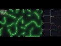 Slime Mold - Simulation