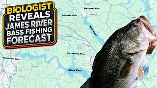 James River Bass Fishing Report with Virginia Biologists Margaret Whitmore