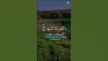 القرآن الكريم .قراءة هادئة #استغفرالله #لايك #اكسبلور #راحة_نفسية #سبحان الله #تيك_توك #استغفار