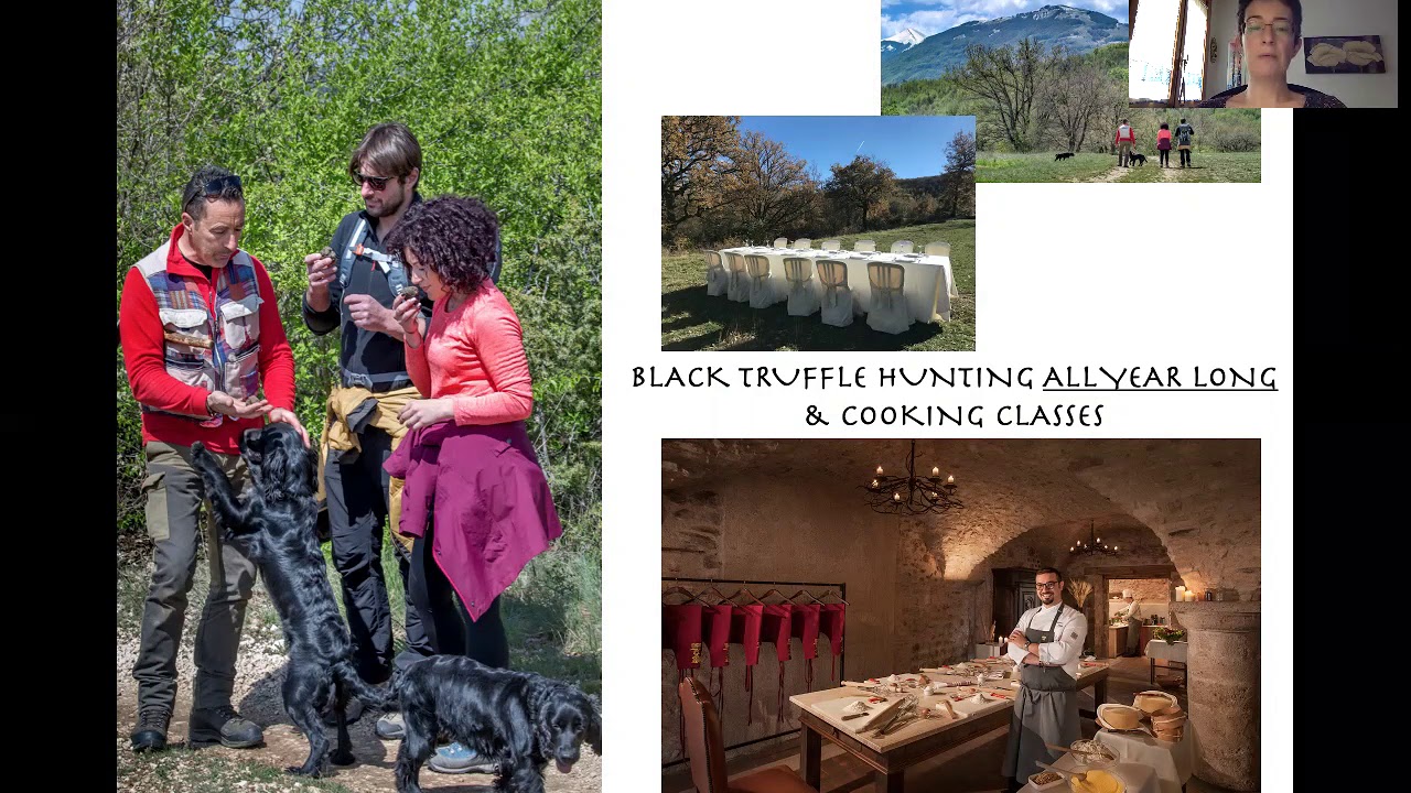 Palazzo Seneca Presentation 2020