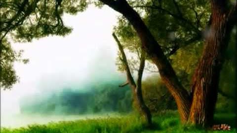 فتحي عبد الرحمن موسى   سورة الزمر لتعليم مقامات مقام صبا . بستنكار .. لامي .زنجران .نكريز ..